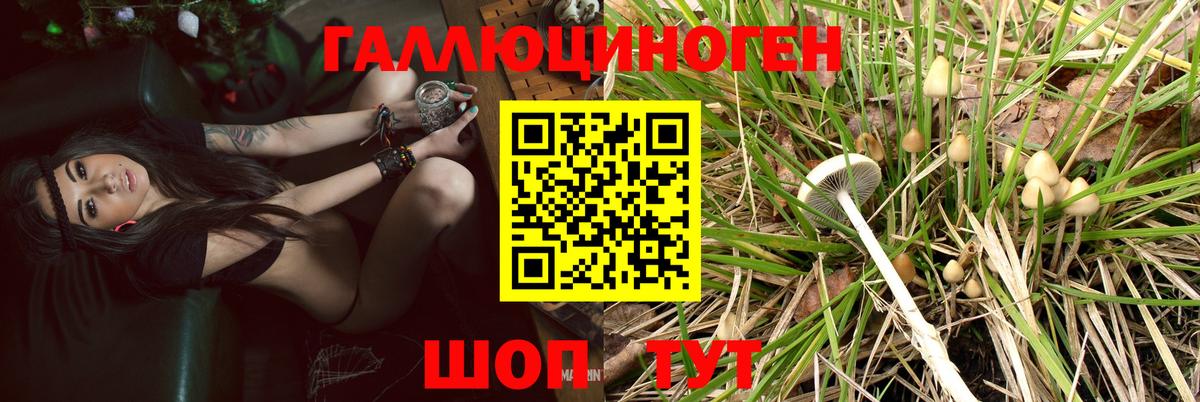 Псилоцибиновые грибы мицелий  Вход с VPN  Галлюциногенные грибы мухоморы  Новоуральск 
