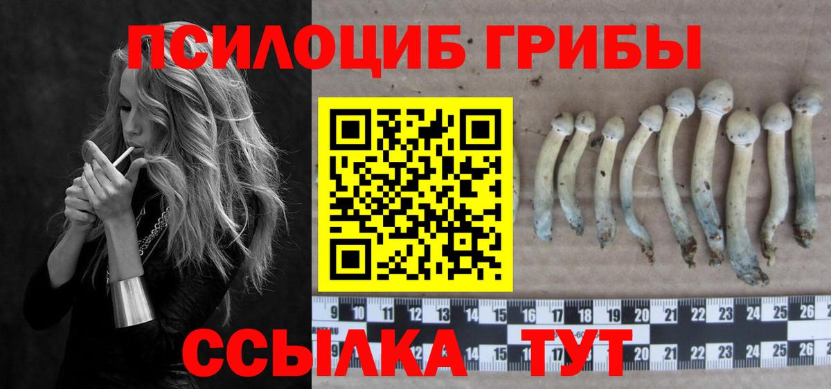 Псилоцибиновые грибы прущие грибы Новоуральск